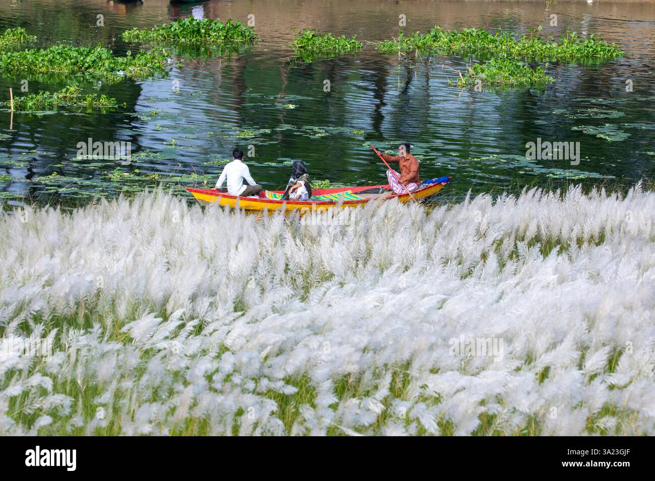 Ein Paar fährt mit einem Boot über einen See, taucht in die Schönheit der blühenden Kans Grasblumen ein und feiert das Wesen des Herbstes am Rande Stockfoto