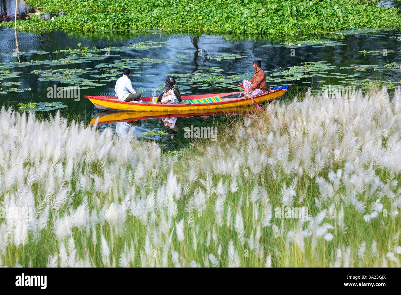 Ein Paar fährt mit einem Boot über einen See, taucht in die Schönheit der blühenden Kans Grasblumen ein und feiert das Wesen des Herbstes am Rande Stockfoto