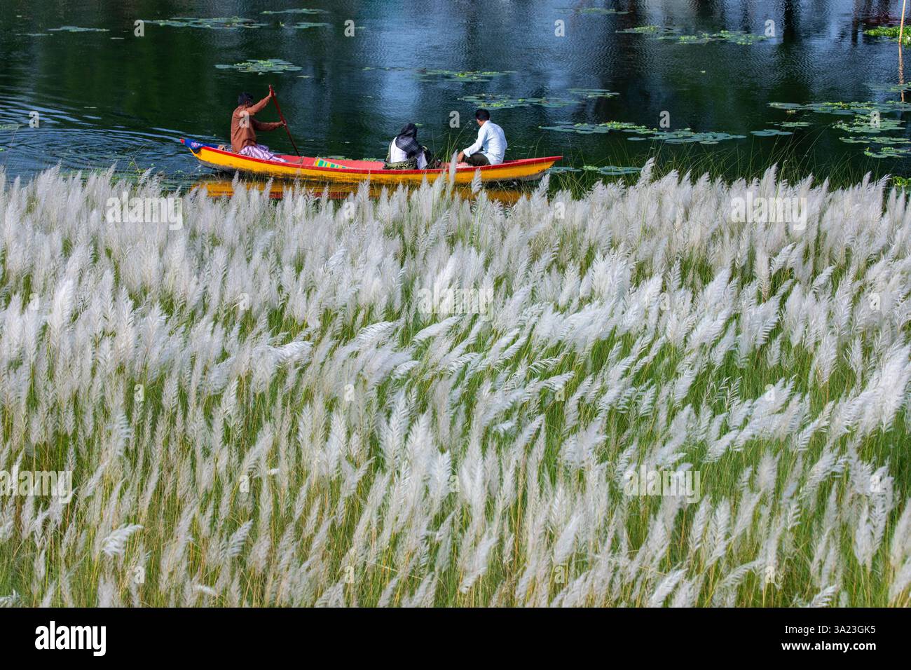 Ein Paar fährt mit einem Boot über einen See, taucht in die Schönheit der blühenden Kans Grasblumen ein und feiert das Wesen des Herbstes am Rande Stockfoto