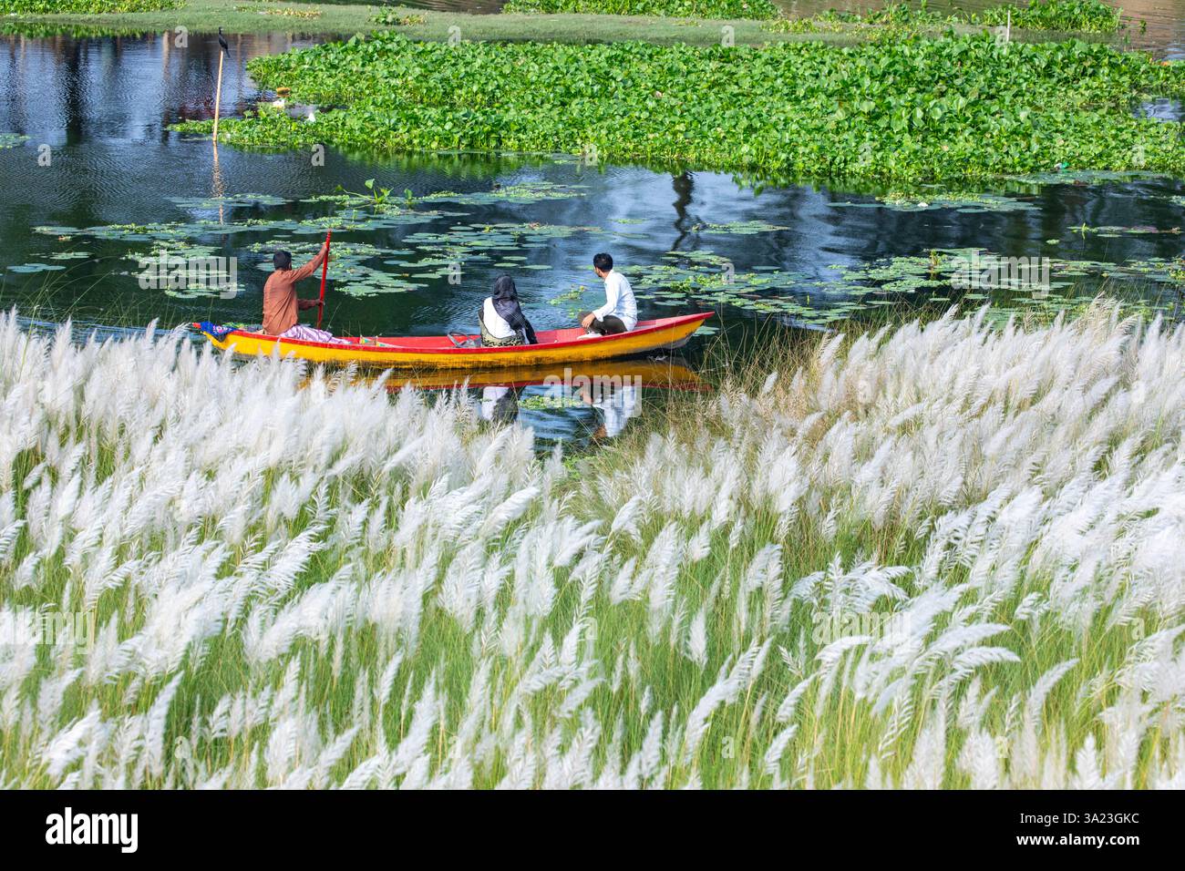 Ein Paar fährt mit einem Boot über einen See, taucht in die Schönheit der blühenden Kans Grasblumen ein und feiert das Wesen des Herbstes am Rande Stockfoto