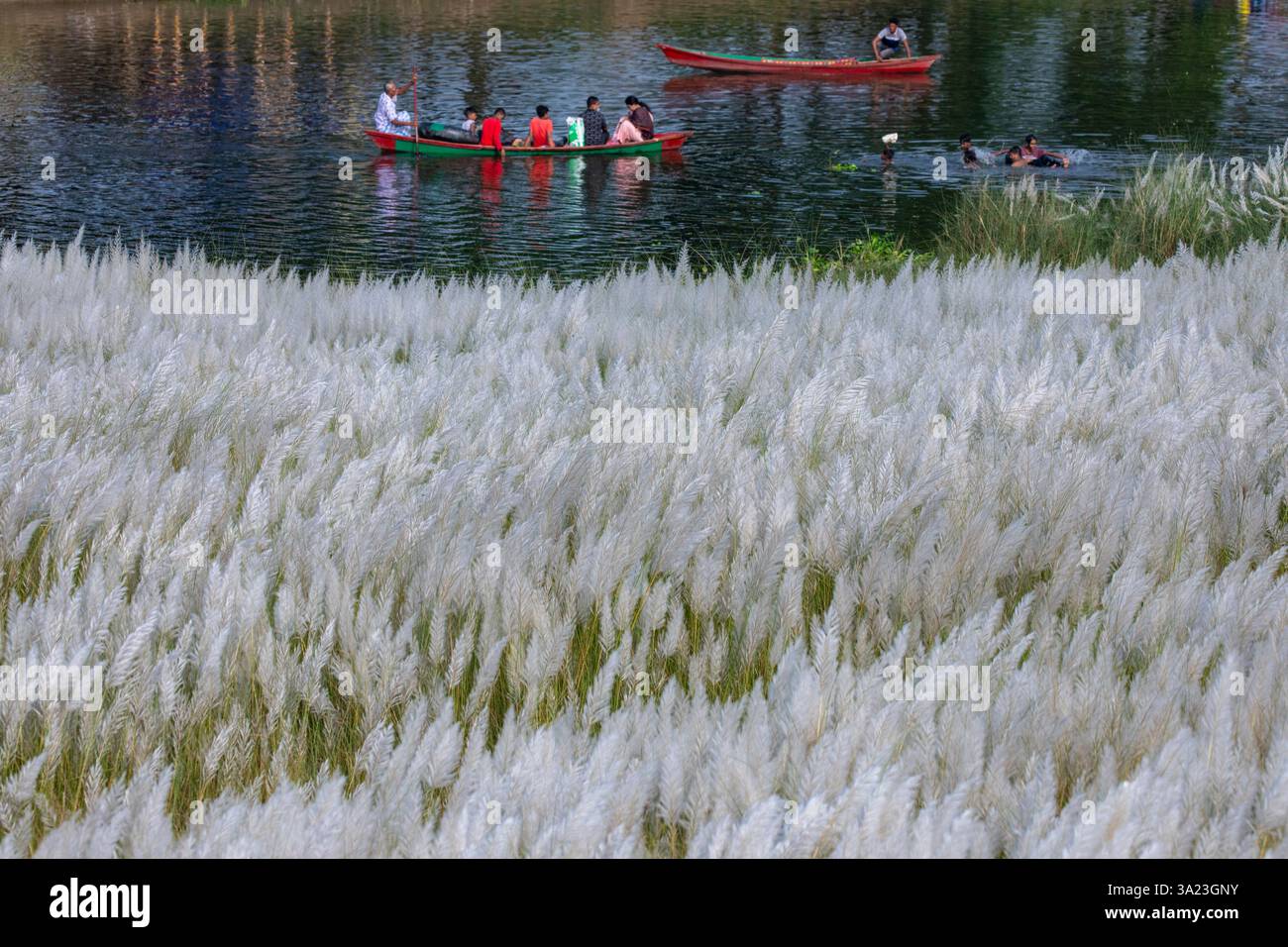 Kinder fahren auf einem Boot über einen See, tauchen in die Schönheit der blühenden Kans-Grasblumen ein und feiern unterwegs das Wesen des Herbstes Stockfoto