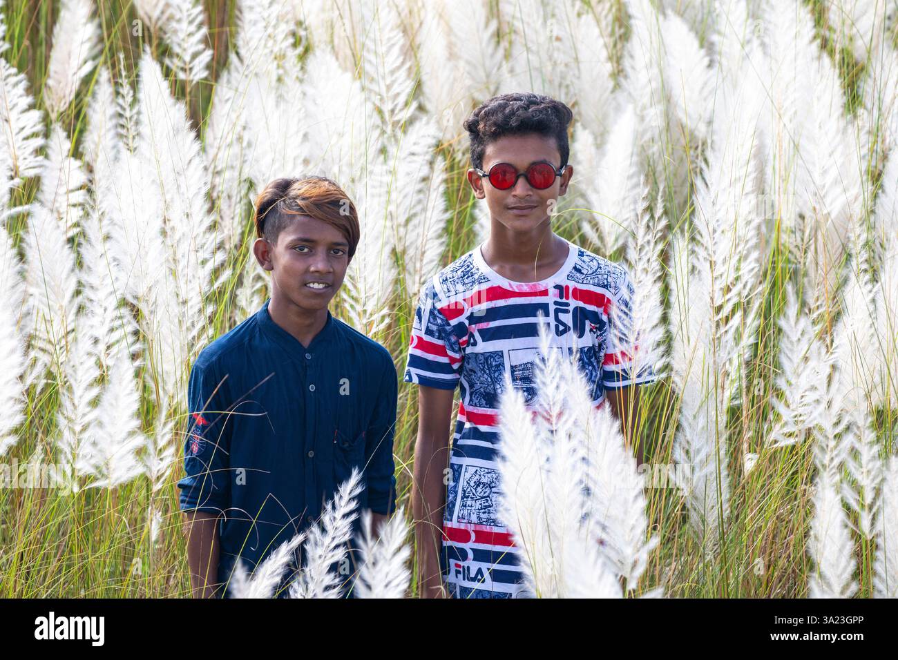 Bangladeschis ländliche Jungen tauchen in die Schönheit des blühenden Kans-Grases ein und feiern das Wesen des Herbstes am Stadtrand von Dhaka, Banglades Stockfoto