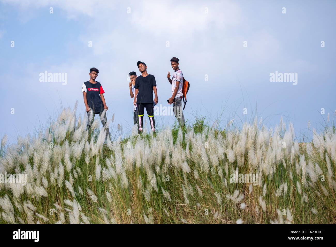 Bangladeschis ländliche Jungen tauchen in die Schönheit des blühenden Kans-Grases ein und feiern das Wesen des Herbstes am Stadtrand von Dhaka, Banglades Stockfoto