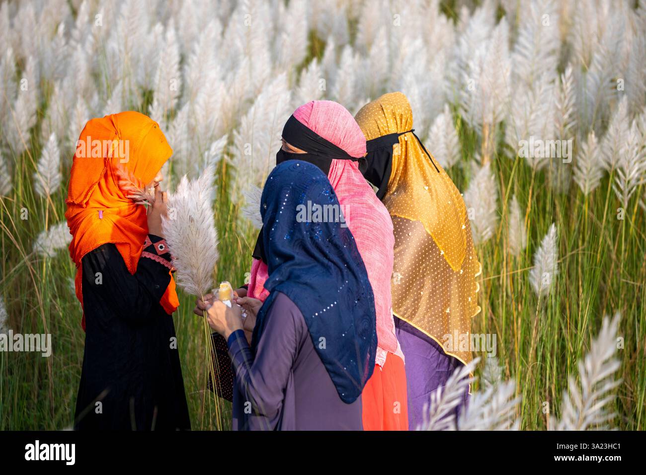 Frauen lieben die Schönheit der blühenden Kans-Grasblumen und feiern den Geist des Herbstes am Stadtrand von Dhaka, Bangladesch. Stockfoto