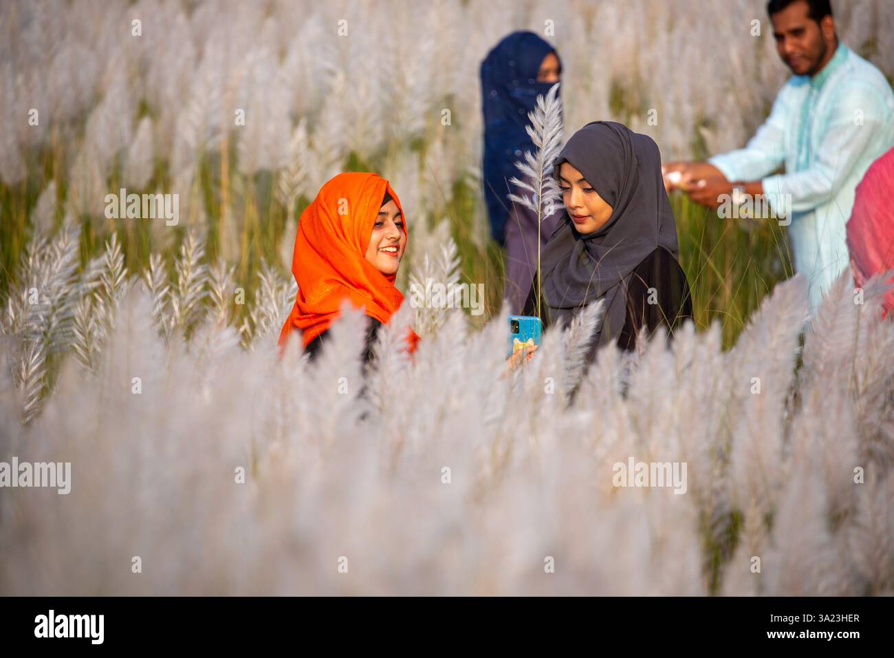 Frauen lieben die Schönheit der blühenden Kans-Grasblumen und feiern den Geist des Herbstes am Stadtrand von Dhaka, Bangladesch. Stockfoto