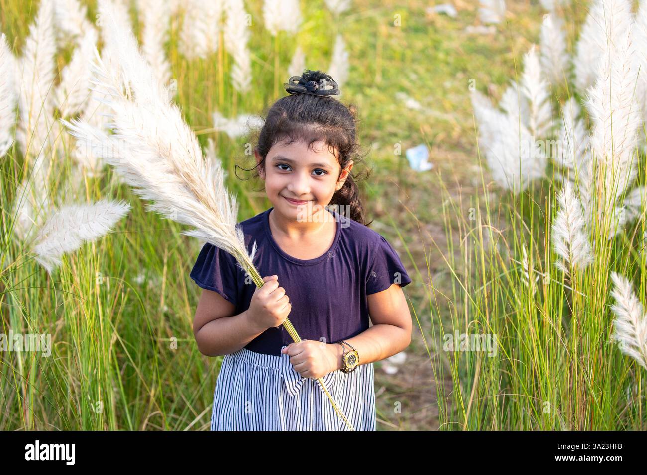 Ein Mädchen hält einen Haufen blühender Kans-Grasblumen, die die Schönheit der Natur in Dhaka, Bangladesch, genießen. Stockfoto