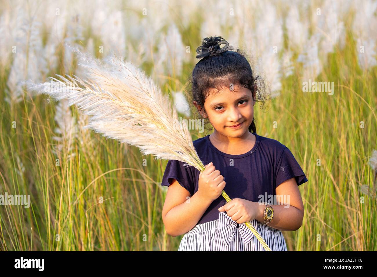 Ein Mädchen hält einen Haufen blühender Kans-Grasblumen, die die Schönheit der Natur in Dhaka, Bangladesch, genießen. Stockfoto