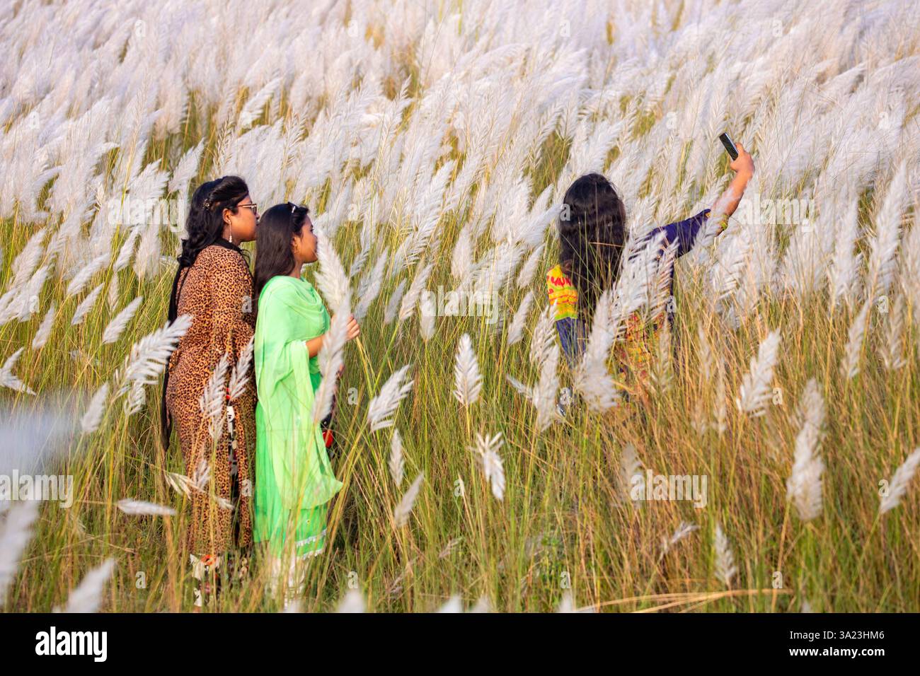 Frauen lieben die Schönheit der blühenden Kans-Grasblumen und feiern den Geist des Herbstes am Stadtrand von Dhaka, Bangladesch. Stockfoto