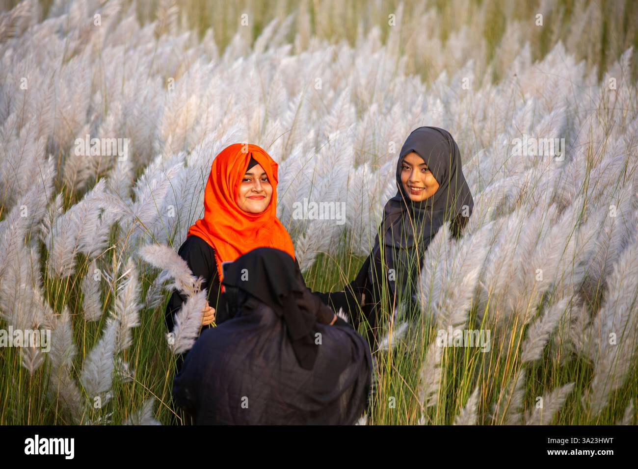 Frauen lieben die Schönheit der blühenden Kans-Grasblumen und feiern den Geist des Herbstes am Stadtrand von Dhaka, Bangladesch. Stockfoto