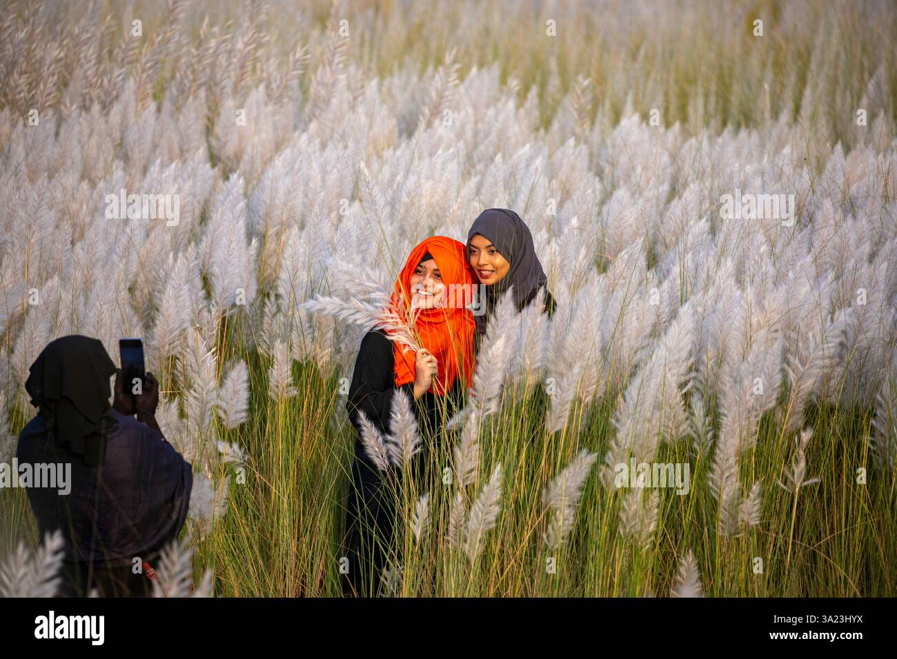 Frauen lieben die Schönheit der blühenden Kans-Grasblumen und feiern den Geist des Herbstes am Stadtrand von Dhaka, Bangladesch. Stockfoto