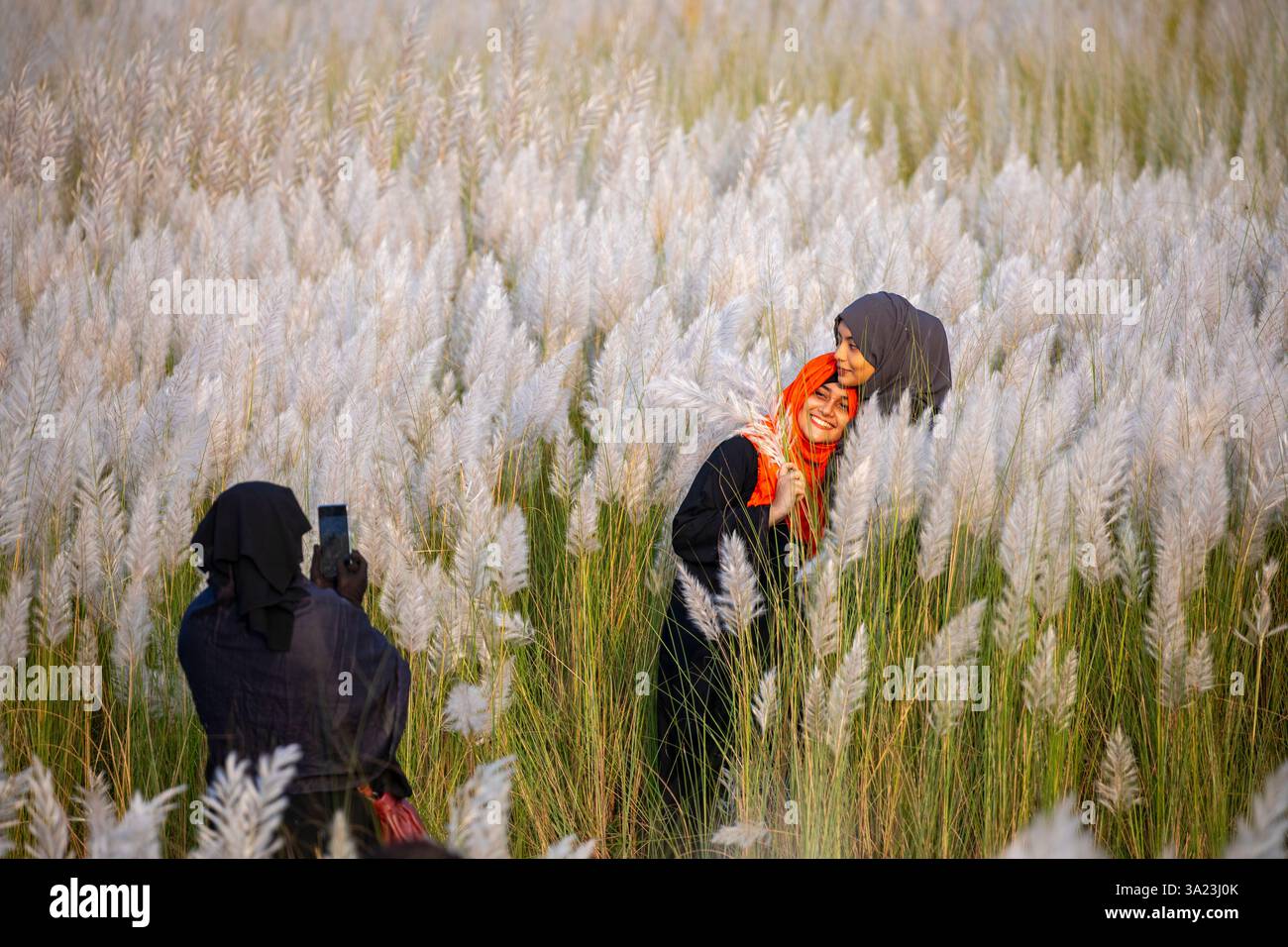 Frauen lieben die Schönheit der blühenden Kans-Grasblumen und feiern den Geist des Herbstes am Stadtrand von Dhaka, Bangladesch. Stockfoto