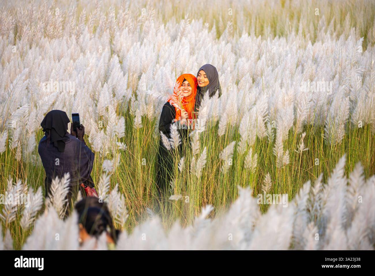 Frauen lieben die Schönheit der blühenden Kans-Grasblumen und feiern den Geist des Herbstes am Stadtrand von Dhaka, Bangladesch. Stockfoto