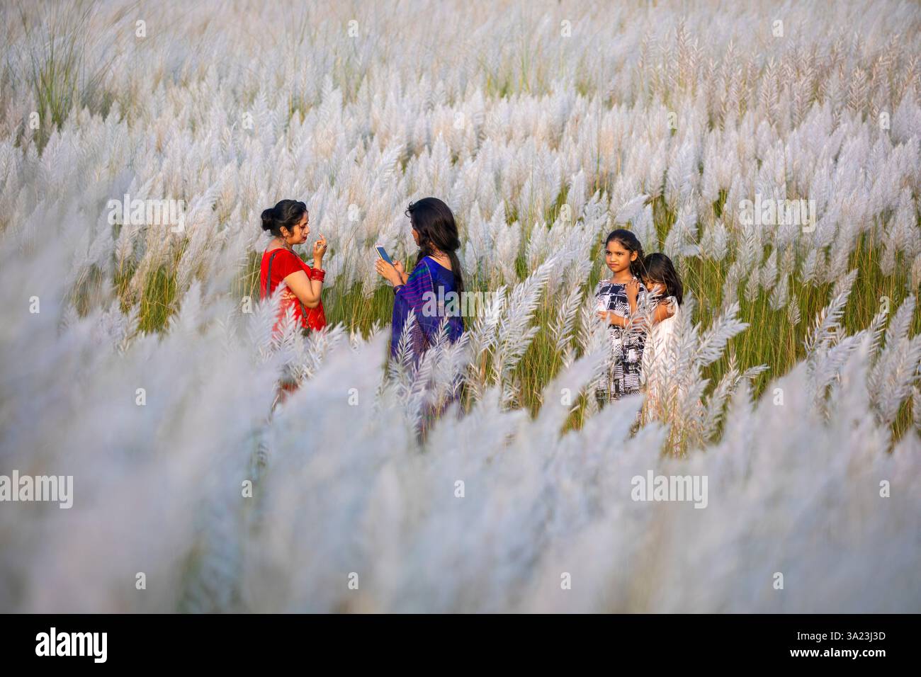 Frauen lieben die Schönheit der blühenden Kans-Grasblumen und feiern den Geist des Herbstes am Stadtrand von Dhaka, Bangladesch. Stockfoto