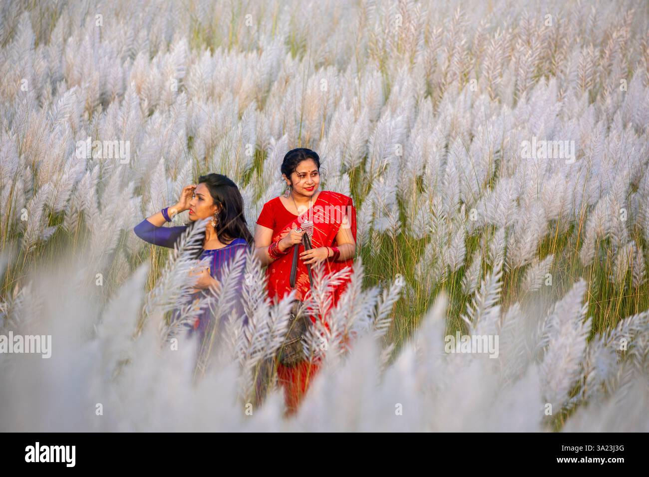 Frauen lieben die Schönheit der blühenden Kans-Grasblumen und feiern den Geist des Herbstes am Stadtrand von Dhaka, Bangladesch. Stockfoto