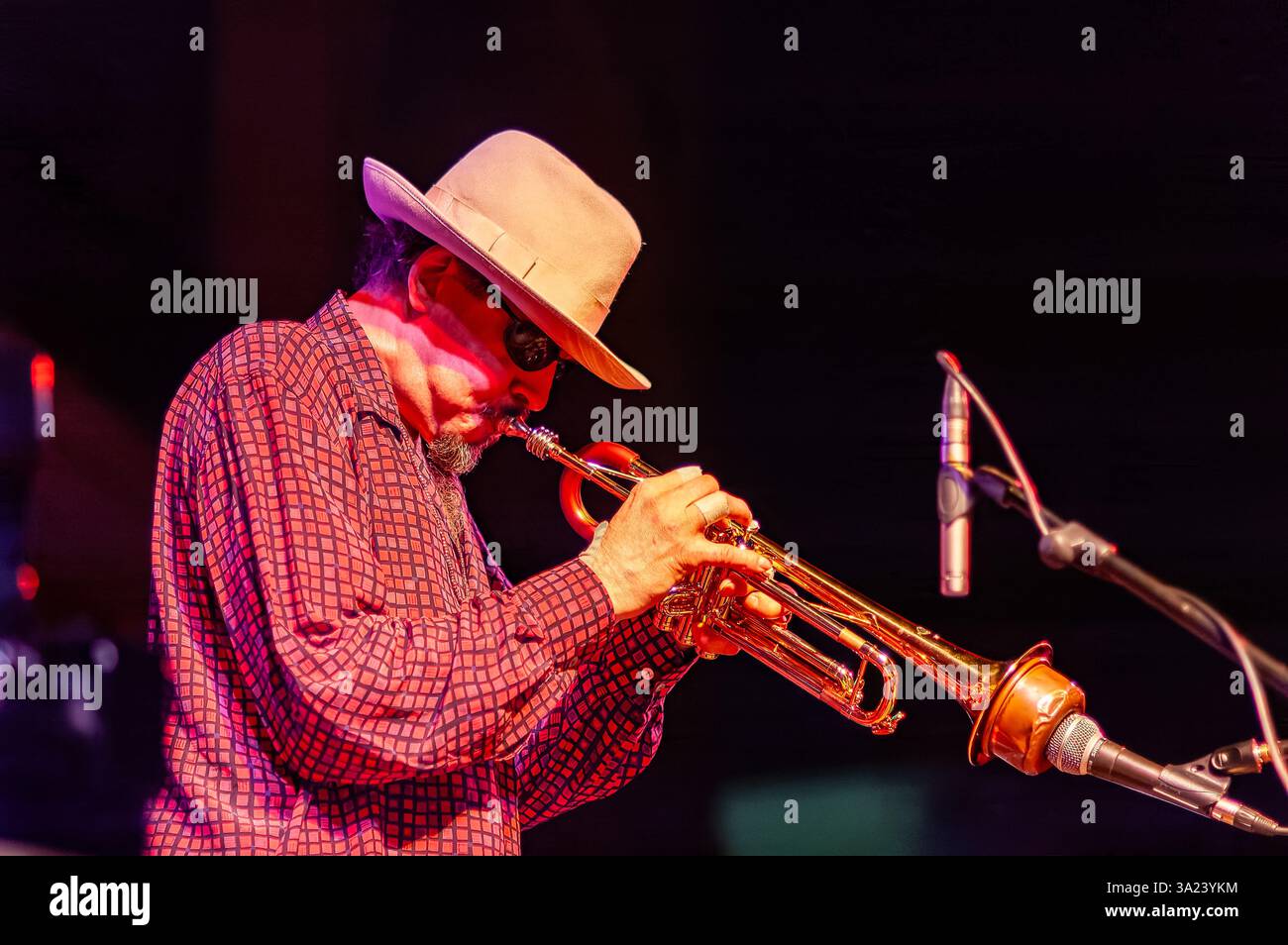 Sanlucar de Barrameda, Spanien, 17. Juli 2004, Jerry Gonzalez spielt wunderbar auf der Trompete und fesselt das Publikum mit herrlicher Musik. Stockfoto
