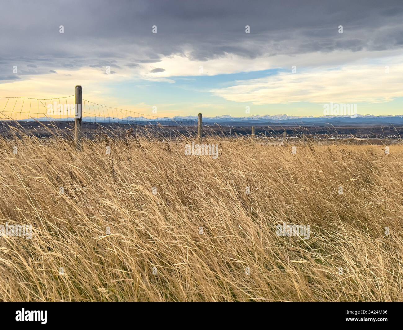 Ein rustikaler Stacheldrahtzaun erstreckt sich über hohes goldenes Gras und überblickt ein Tal mit weit entfernten Bergen unter einem teilweise bewölkten Himmel. Ein ländlicher Countr Stockfoto