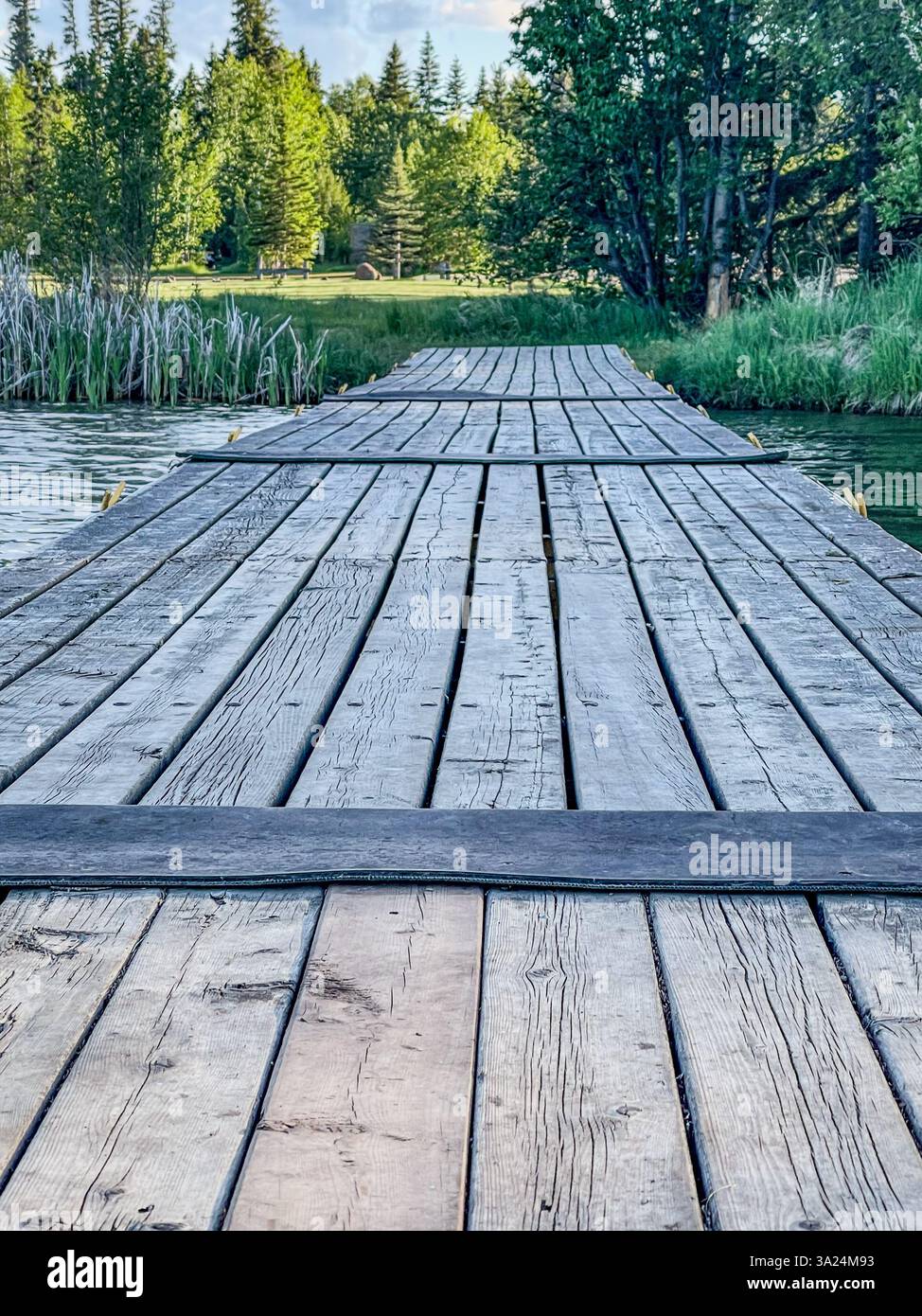 Ein verwittertes Holzdock erstreckt sich über einen stillen See, umgeben von grünen Bäumen und üppiger Vegetation im Hintergrund. Stockfoto