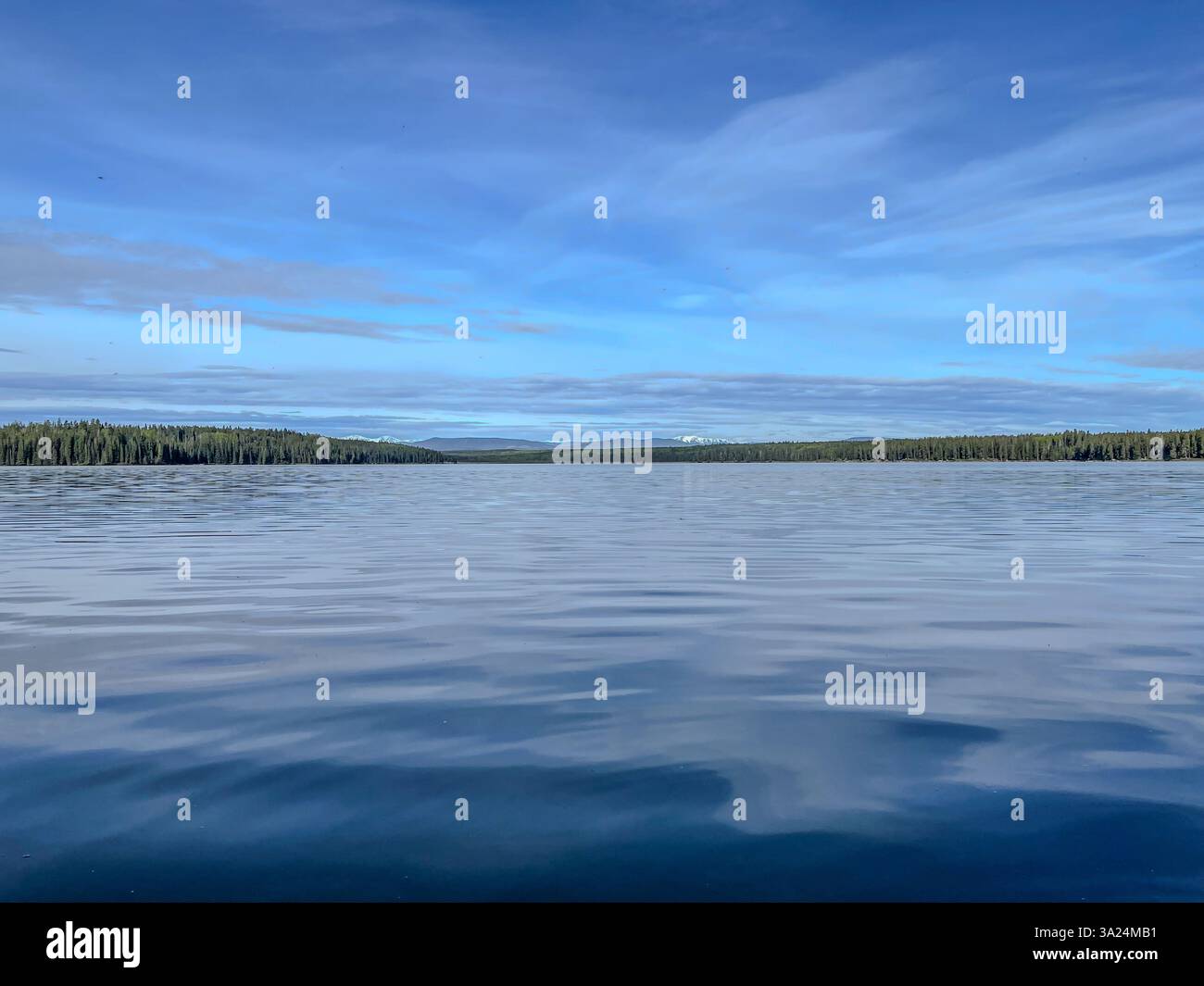 Ein großer See, der den hellblauen Himmel reflektiert, umgeben von einer dichten Baumlinie und weit entfernten Bergen. Eine friedliche Naturlandschaft. Stockfoto