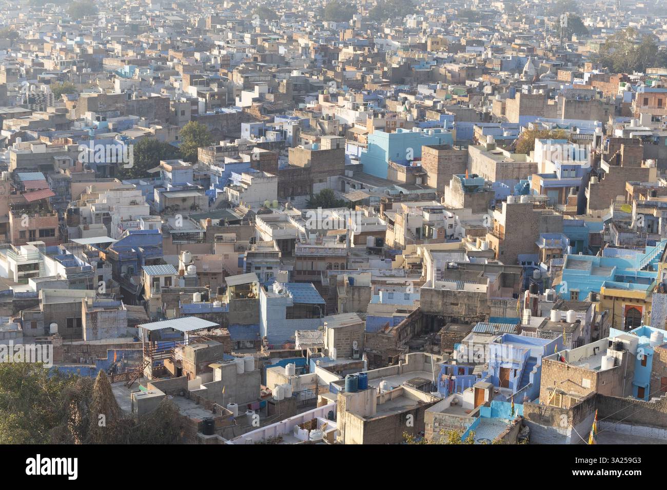 Der Blick auf die überfüllte blaue Stadt vom Gipfel des Berges am Morgen wird in jodhpur rajasthan indien aufgenommen. Stockfoto