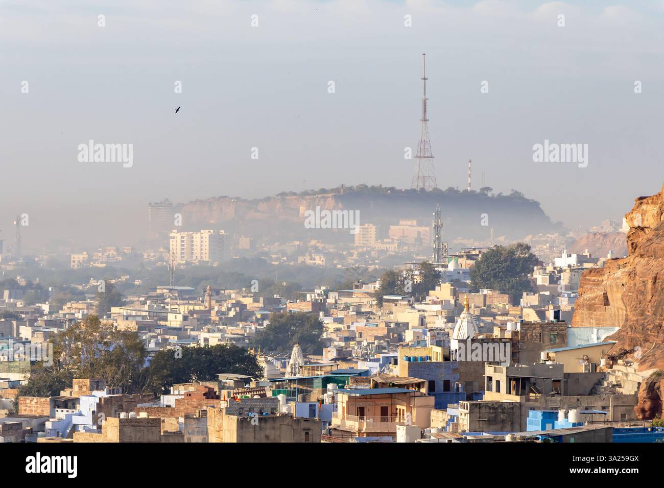 Der Blick auf die überfüllte blaue Stadt vom Gipfel des Berges am Morgen wird in jodhpur rajasthan indien aufgenommen. Stockfoto