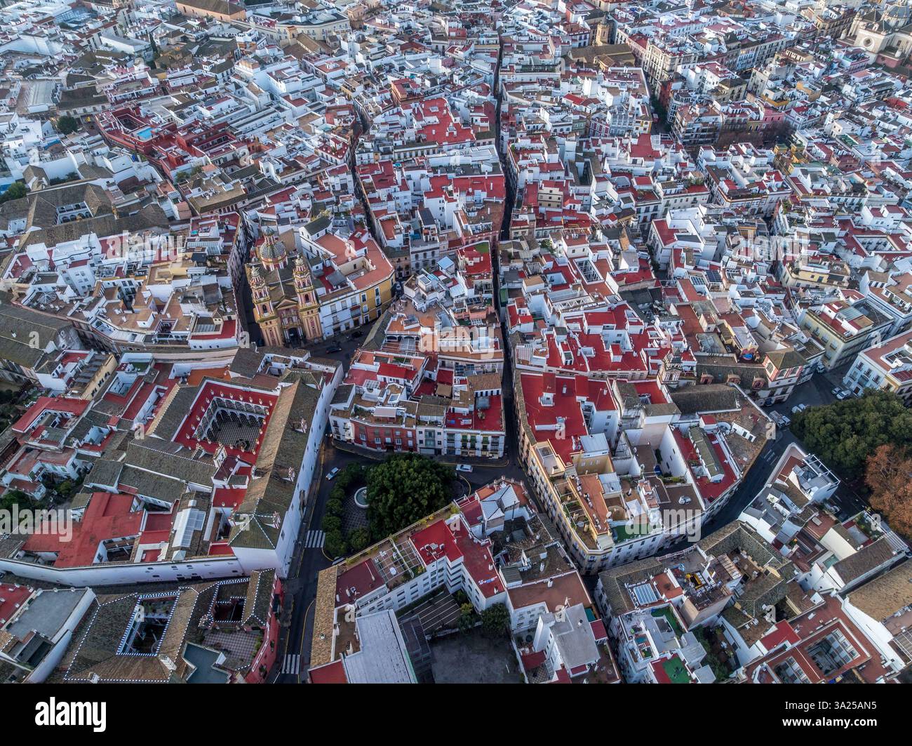Blick aus der Vogelperspektive auf enge historische Gassen, rote Dächer und Kirchen im historischen Zentrum von Sevilla Stockfoto