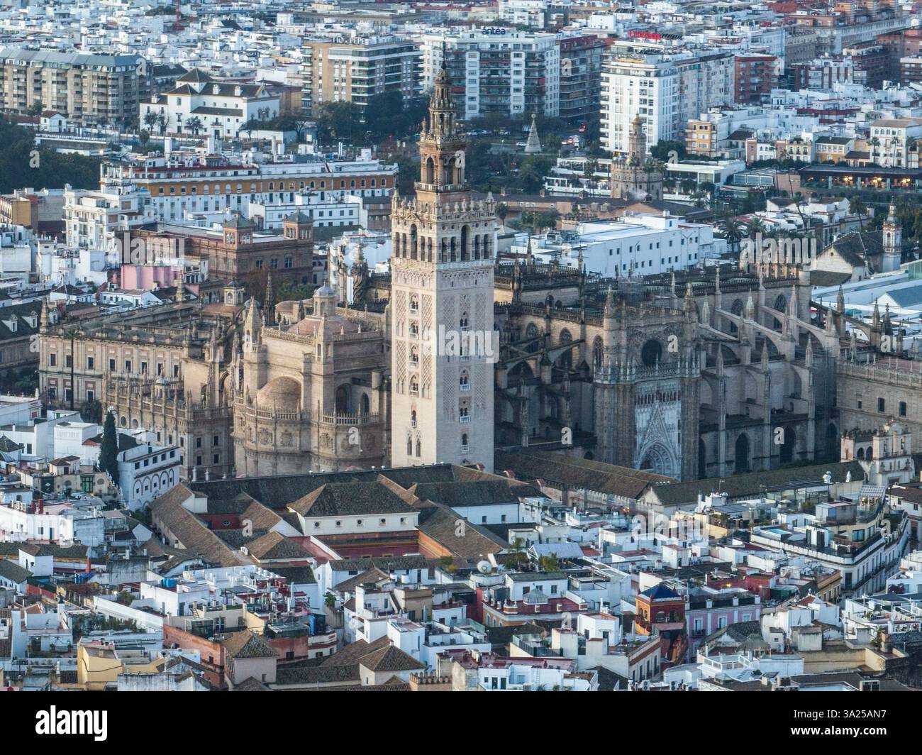 Gotische Gewölbe und mehr: Die architektonischen Schätze der Kathedrale von Sevilla Stockfoto
