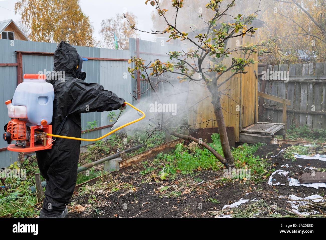 Mann in Maske und Overall sprüht Garten mit Pestiziden und Insektiziden gegen Schädlinge im Herbst. Prävention von Krankheiten im Garten. Saisonale Behandlung Stockfoto