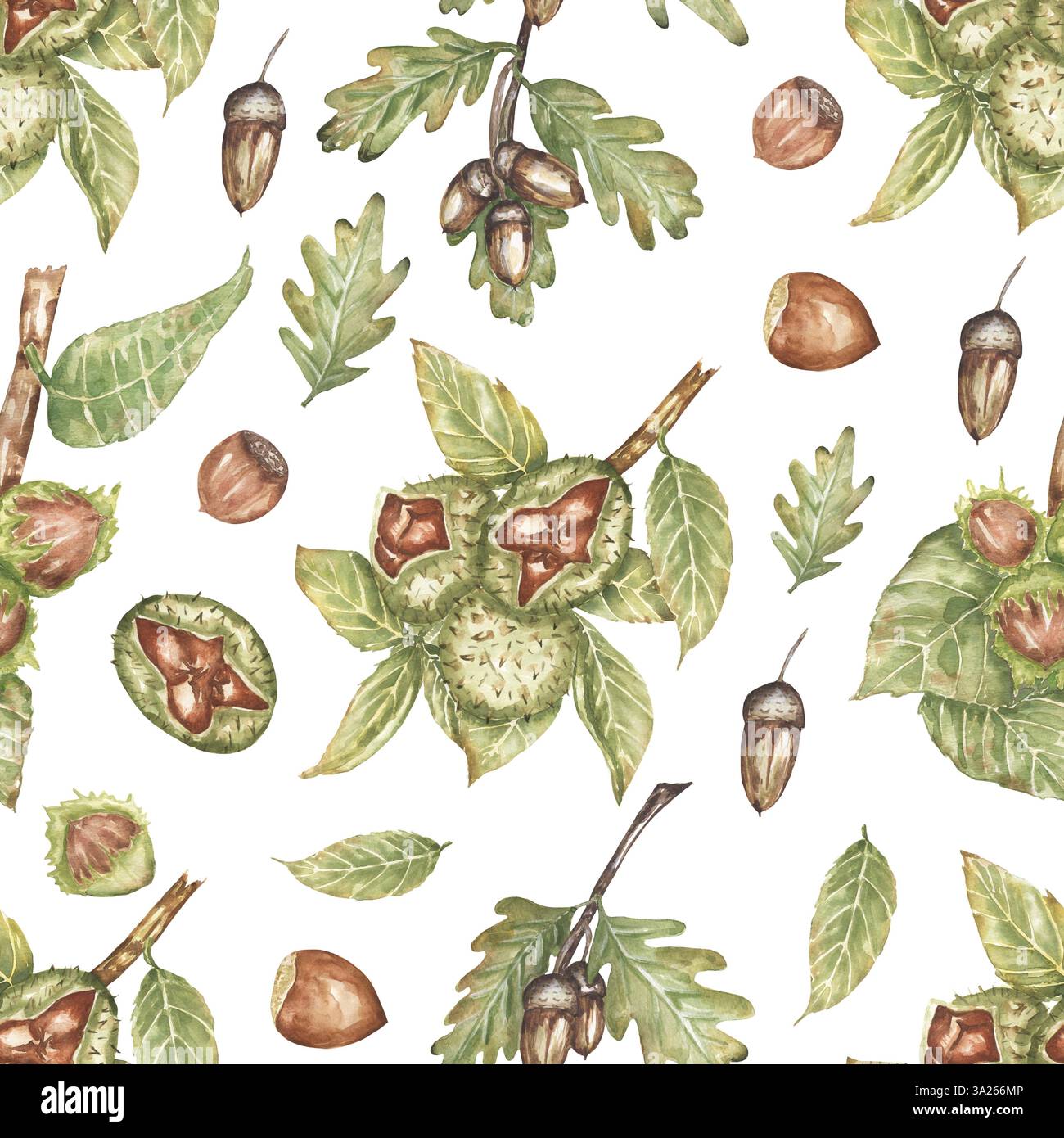 Aquarell handgezeichnete botanische Nusszweige nahtloses Muster, Flora wiederholendes Papier, Herbstkastanien-, Eichen- und Haselnussmuster Stockfoto