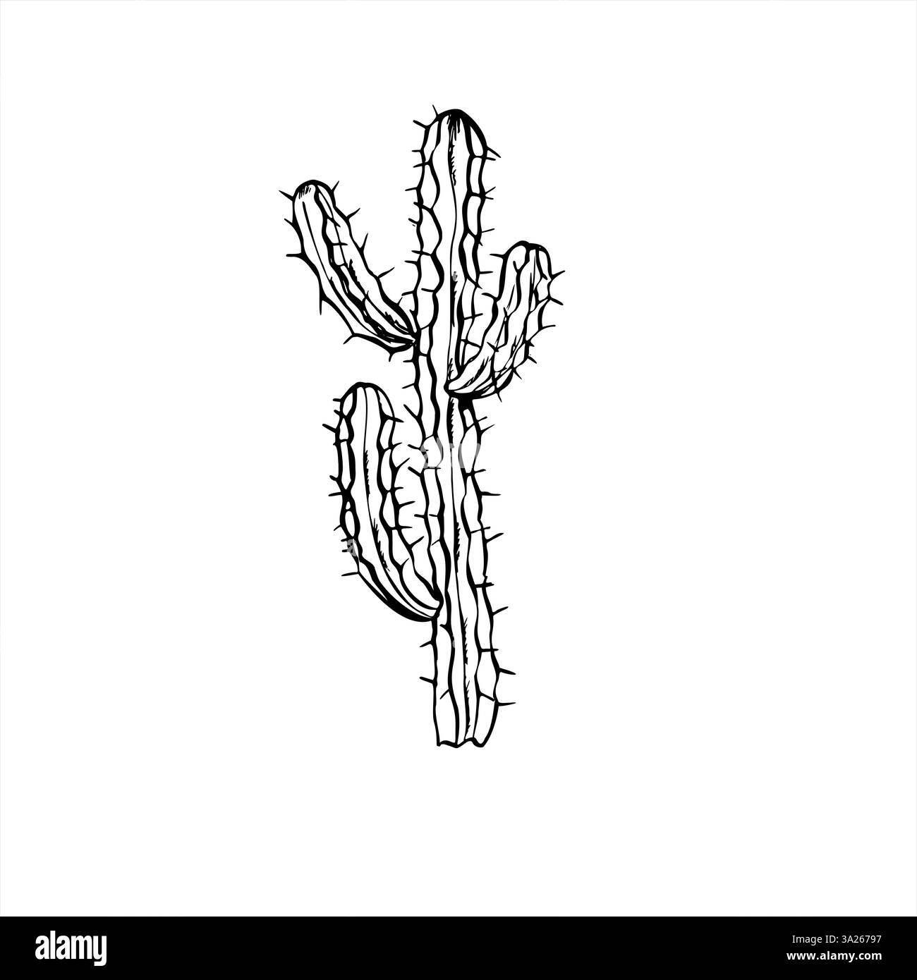 Stachelige Kakteen Buschvektor-Illustration gemalt mit schwarzen Tinten. Wüste Kakteen Baum realistische grafische Skizze. Einzelnes sukkulentes Pflanzenelement für Buch Stock Vektor