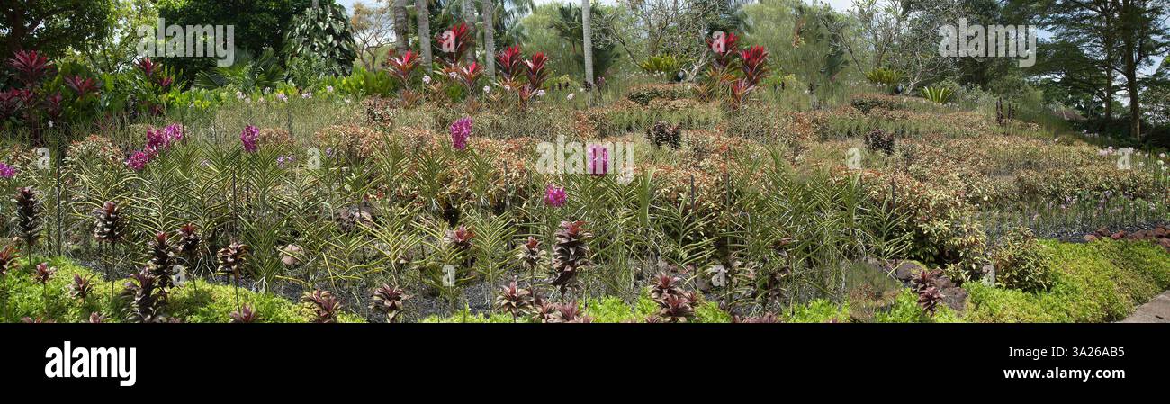 Orchid Gardens Singapur Stockfoto