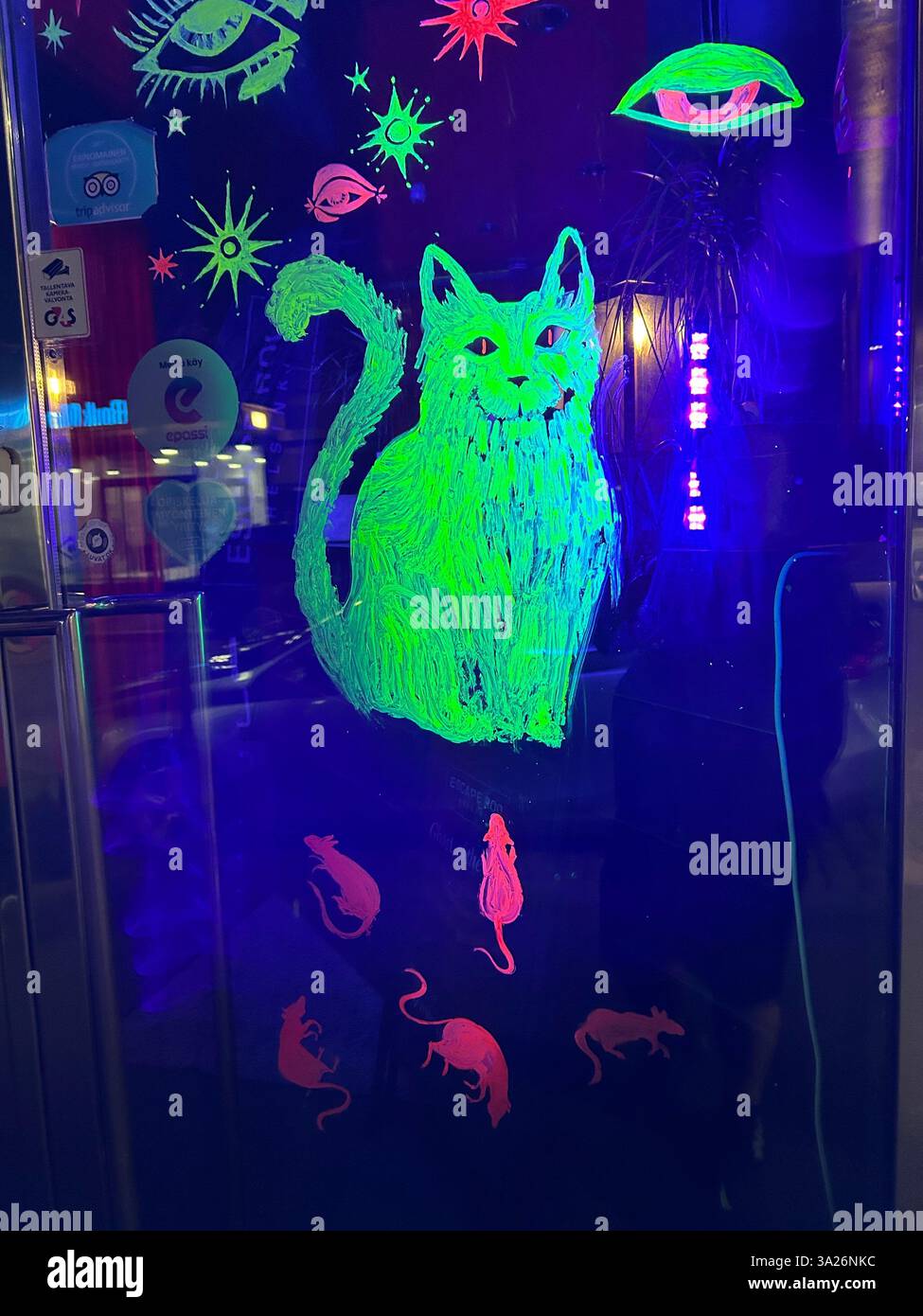 Grüne Katze am Fenster der Bar in Helsinki, Finnland, gemalt. Stockfoto