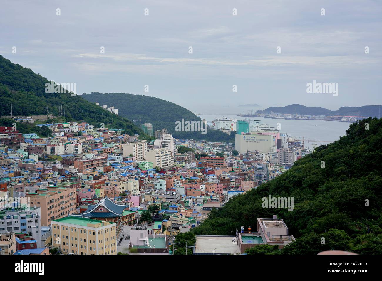 Farbenfrohe Gebäude am Hügel überblicken einen üppigen Wald und die Küste unter einem bewölkten Himmel. Busan, Korea Stockfoto