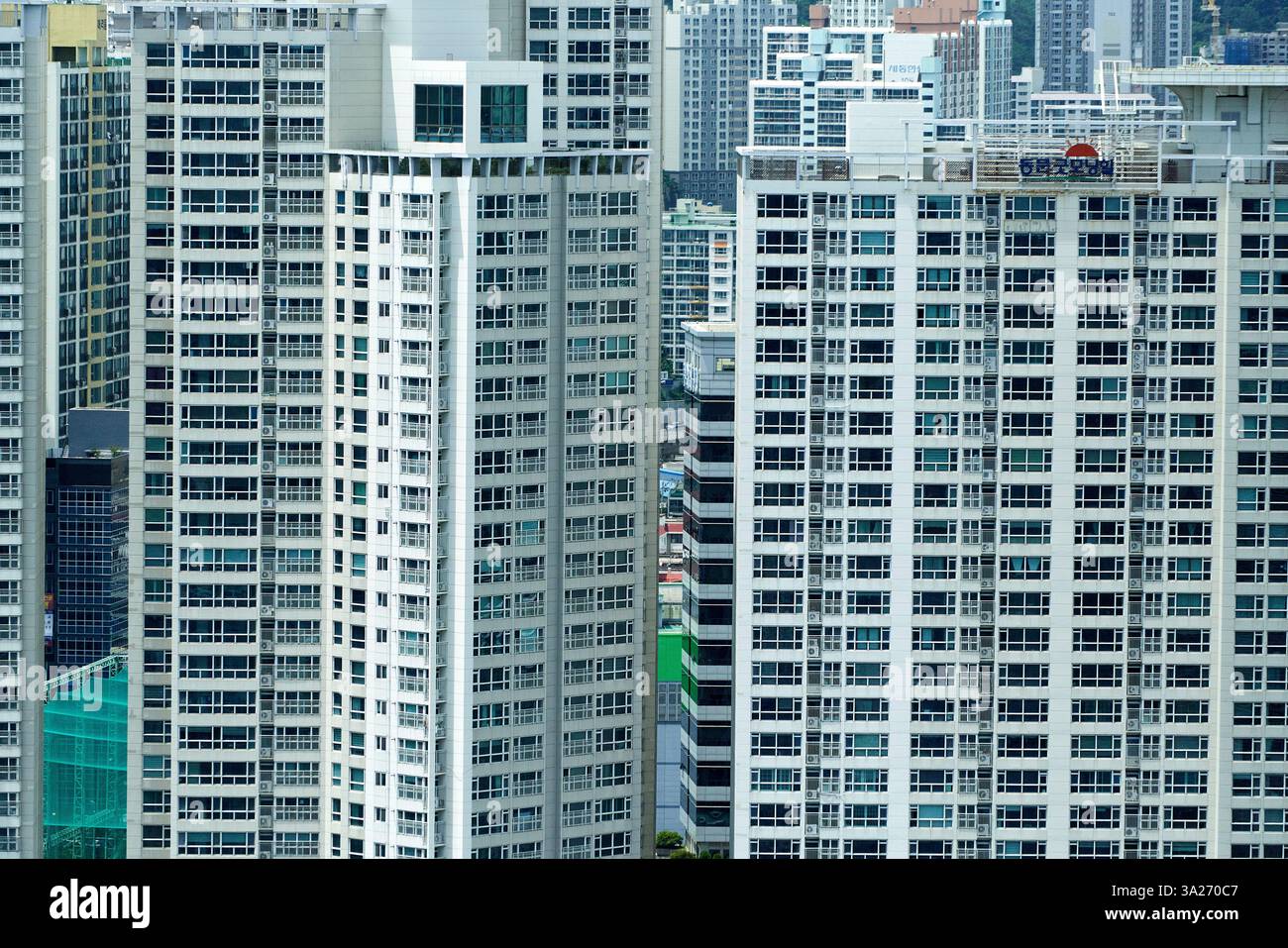 Hohe, moderne Apartmenthäuser mit zahlreichen Fenstern in einem urbanen Stadtbild. Busan, Korea Stockfoto
