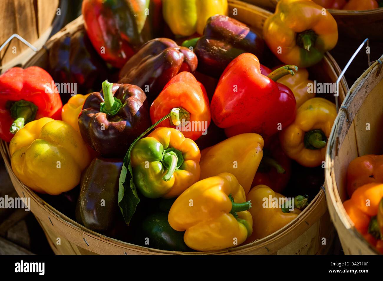 Rote und orangene Paprika in einem Holzkorb Stockfoto