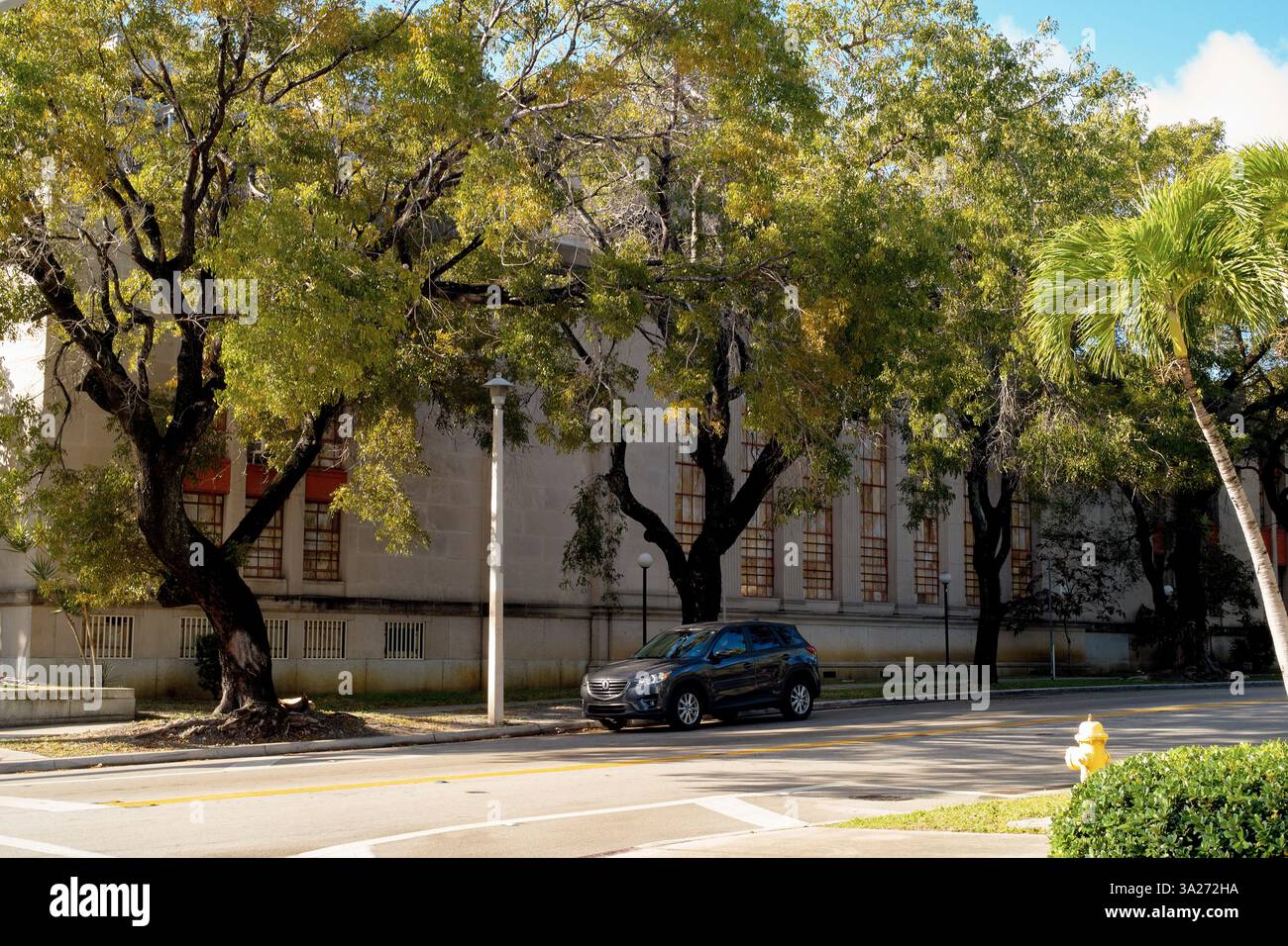 Städtische Straße mit einem geparkten schwarzen Auto unter großen Bäumen in der Nähe eines historischen Steingebäudes. Miami, FL, USA Stockfoto