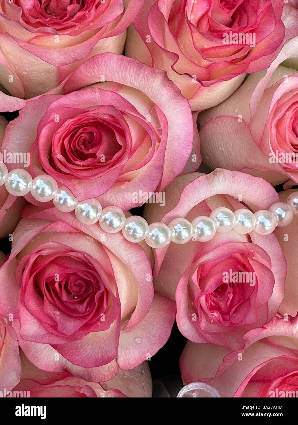 Elegantes Arrangement aus rosafarbenen Rosen, die mit einem zarten Perlenstrang in einem Blumenschmuck verziert sind - Smartphone-aufgenommenes Stockfoto
