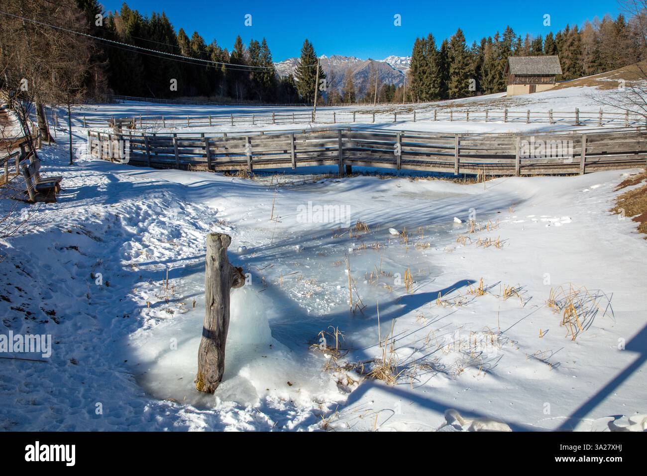 Gefrorener Brunnen am Weiher Bruggen Teich am Tschoegglberg bei Verano, Südtirol, Italien Stockfoto