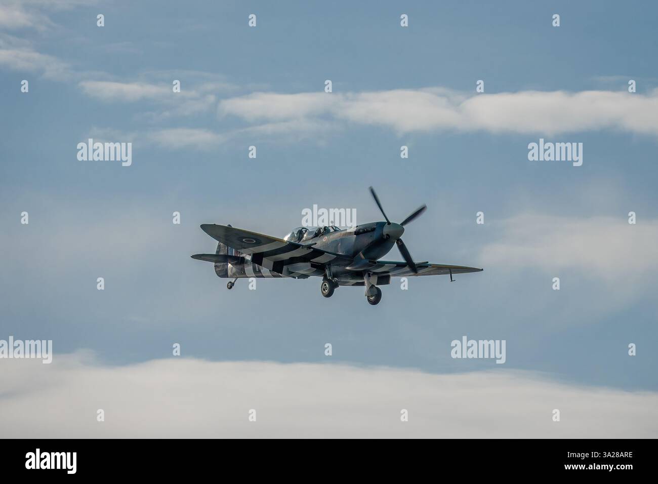 Supermarine Spitfire ein britisches Kampfflugzeug, das von der Royal Air Force und anderen alliierten Ländern während des Zweiten Weltkriegs eingesetzt wurde Stockfoto