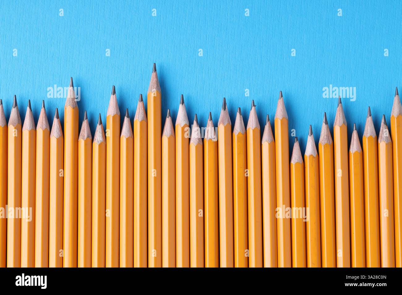 Viele Bleistifte auf hellblauem Hintergrund, Draufsicht Stockfoto