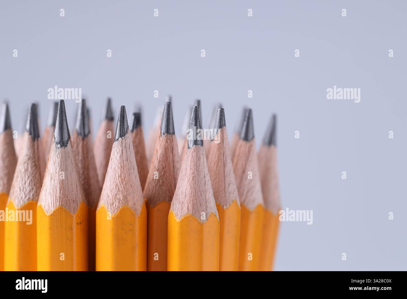 Viele Bleistifte auf hellgrauem Hintergrund, Nahaufnahme. Leerzeichen für Text Stockfoto