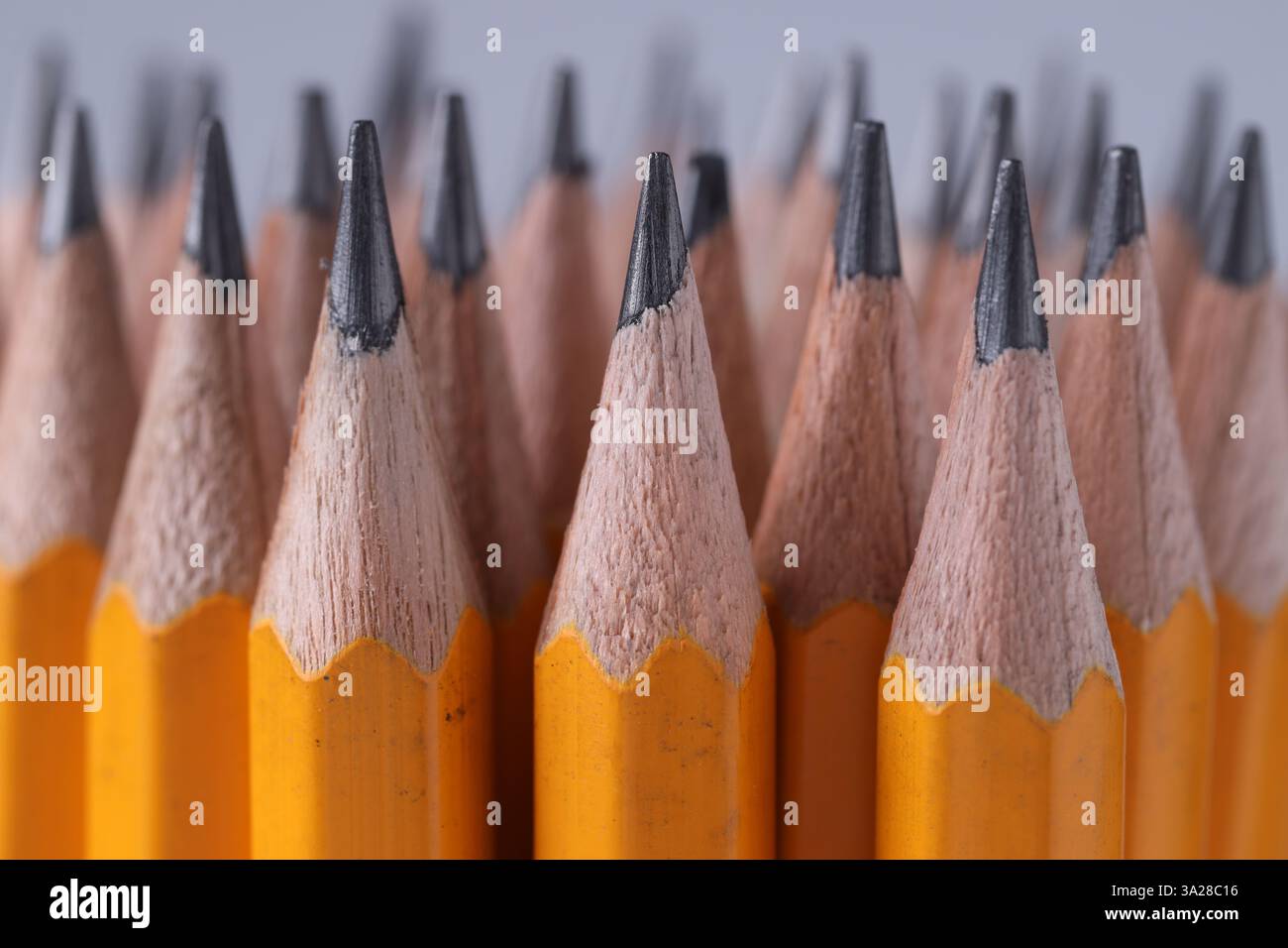 Viele Bleistifte auf hellgrauem Hintergrund, Nahaufnahme Stockfoto