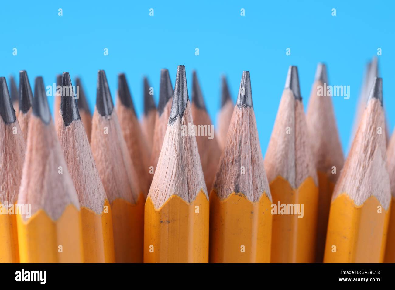 Viele Bleistifte auf hellblauem Hintergrund, Nahaufnahme Stockfoto