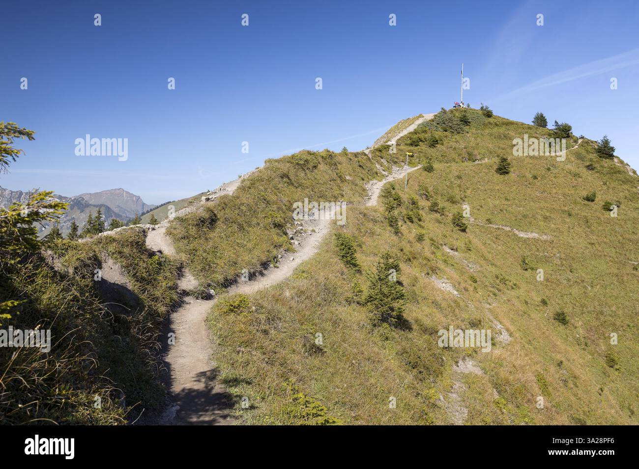 Wanderweg auf dem Kamm nach Fluegenspitz, Amden, St. Gallen, Schweiz, Europa Stockfoto