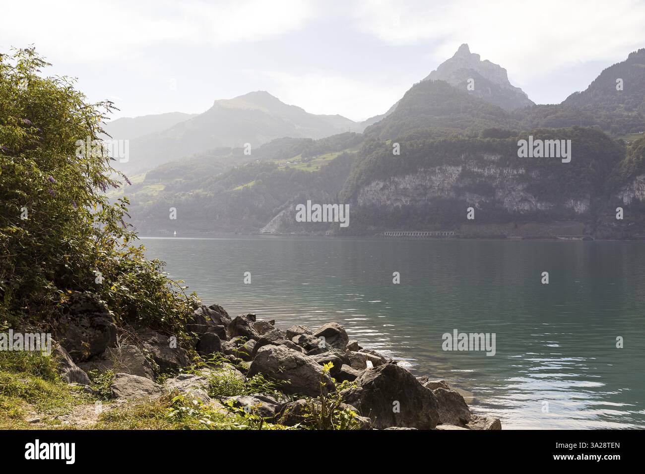 Nordufer des Walensees mit Blick auf das südliche Bergmassiv, Amden, St. Gallen, Schweiz, Europa Stockfoto