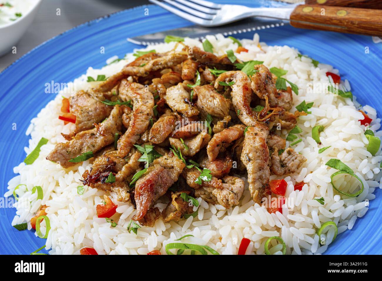 Gyros mit Reis, grünem Salat und Tzatziki Stockfoto