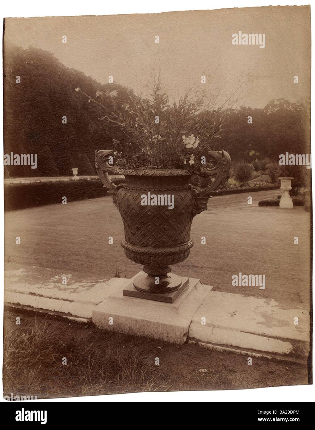 Ein Foto einer Vase von Ballin, die sich auf dem Anwesen von Versailles befindet. Atget fängt das komplizierte Design und die handwerkliche Verarbeitung dieses dekorativen Kunstwerks ein. Stockfoto