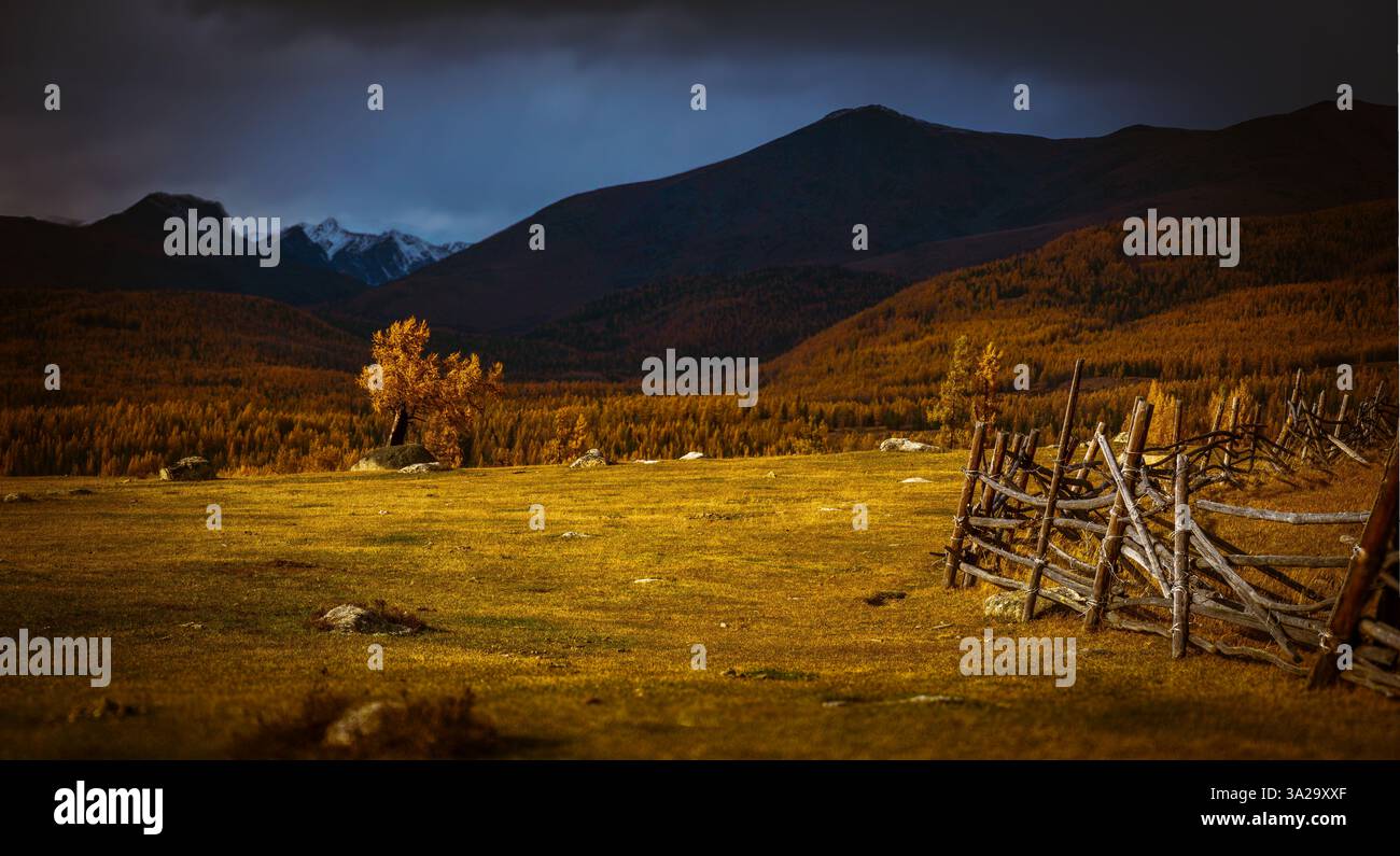 Der rustikale Zaun erstreckt sich über goldene Herbstwiesen mit Hügeln und Bergen im Hintergrund. Lebhaftes Laub verstärkt den ruhigen ländlichen Charme der ruhigen und malerischen Landschaft. Stockfoto