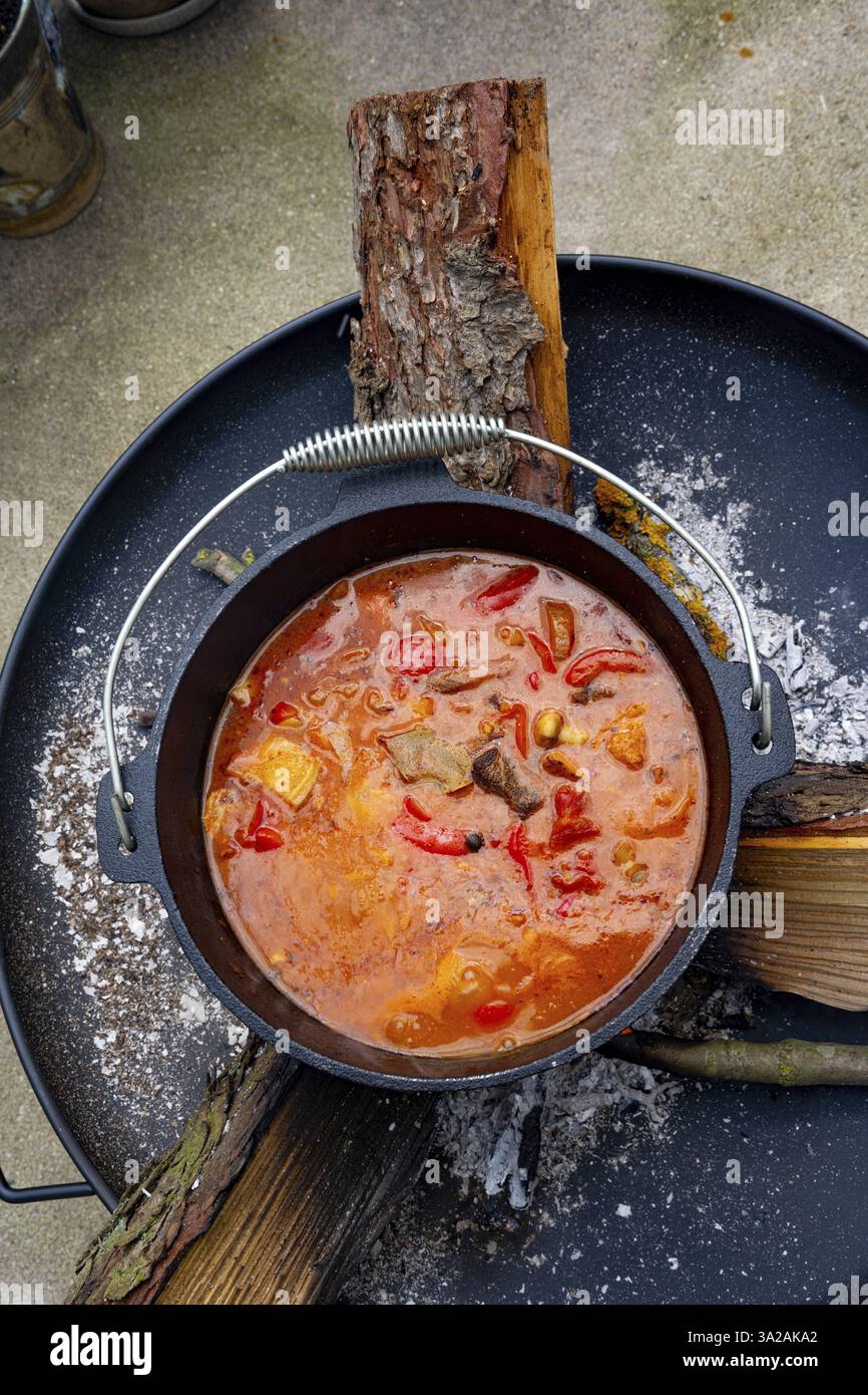 Kettle Gulash wird über einem offenen Feuer zubereitet! Stockfoto