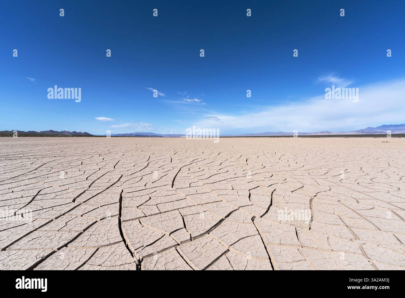 Der trockene See im Death Valley mit zerrissener Erde in der kalifornischen Mojave-Wüste. Stockfoto