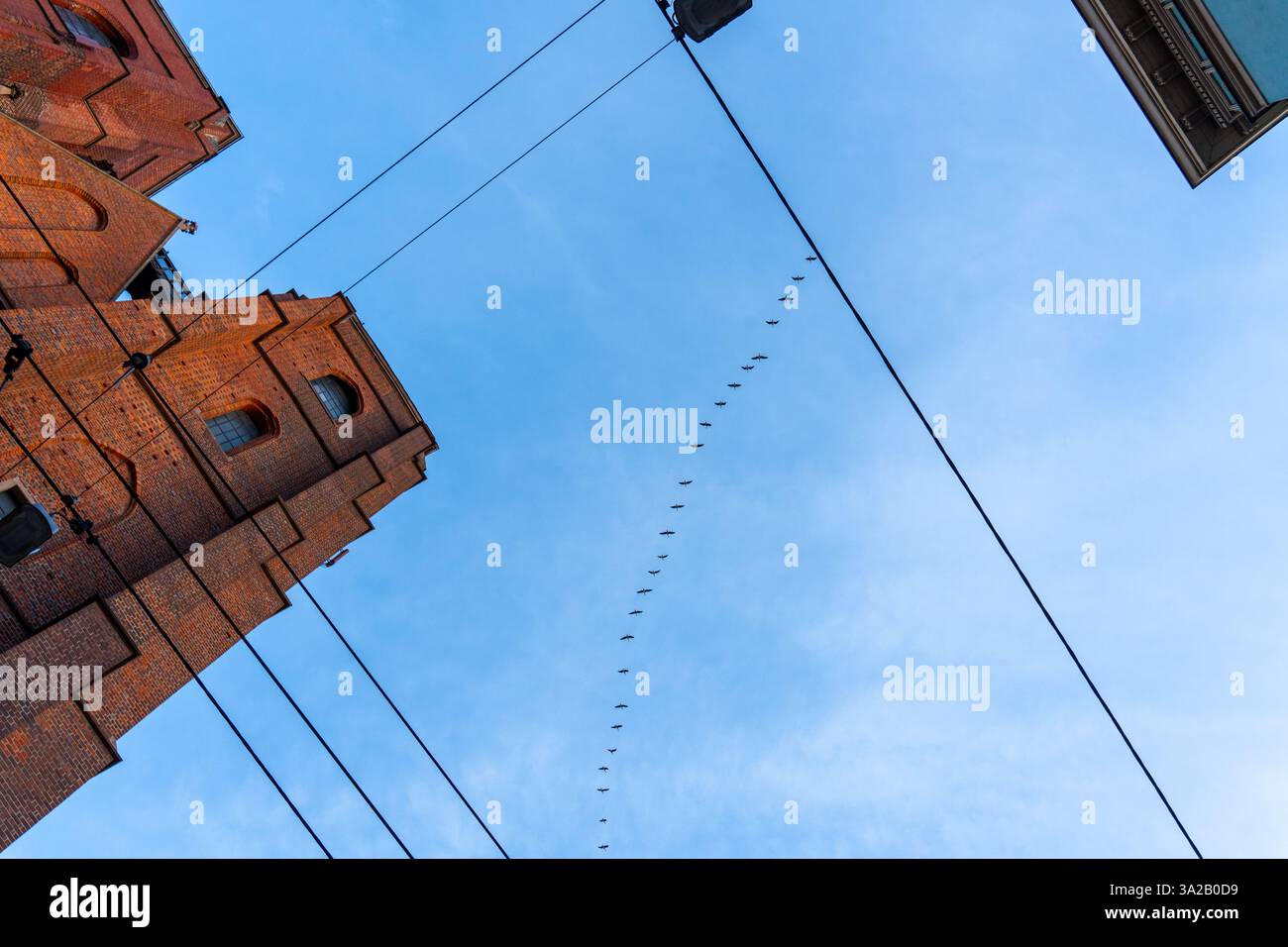 Flacher Blick auf den historischen Backsteinkirchturm mit Straßenbahndrähten und Vogelschwärme Stockfoto
